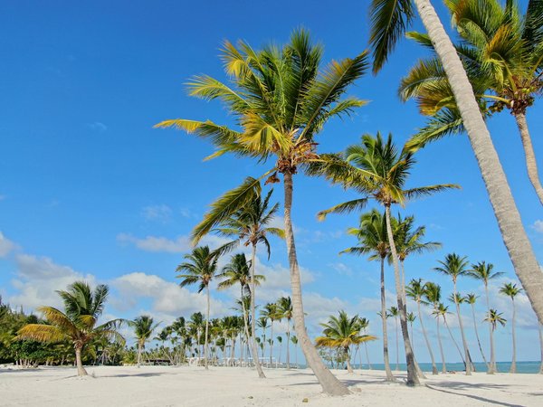 Où participer à des ateliers de fabrication de céramique en Espagne?